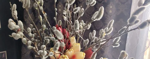 Сохраняя обычаи предков: волонтеры раздали веточки Вербы в преддверии Вербного Воскресения