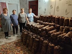 В Толстовке создан фонд в поддержку участников СВО