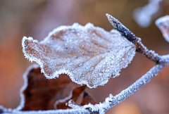 Народные приметы 14 декабря