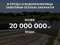 Свыше 20 млн кубометров воды подали в пруды и водохранилища Заволжья в рамках осенней закачки