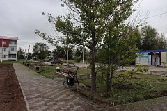 Центральная площадь растет и хорошеет