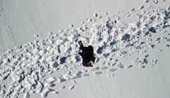 10 апреля в кинотеатрах страны  состоялась премьера картины «Июньская полынь» режиссёра Юлии Бочаровой