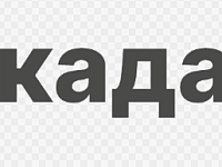 Саратовский Роскадастр рассказал, как получить данные о земле онлайн