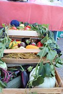 Фестиваль Красоты учит видеть прекрасное
