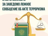 Важно знать: за заведомо ложные угрозы теракта предусмотрено наказание