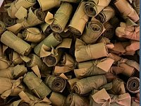 "Паучки" продолжают плести сети на СВО