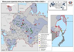 О гриппе птиц рассказал директор районной станции по борьбе с болезнями животных