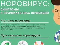 Меры профилактики норовирусной инфекции