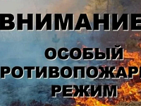 На территории Саратовской области на землях лесного фонда с 5 мая и до 31 октября 2026 года устанавливается особый противопожарный режим
