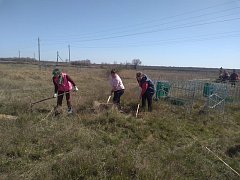 "Серебряные" волонтеры приняли участие в акции "Нет забытых могил"