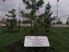 Глава района побывал на областном мероприятии, посвященном Дню местного самоуправления