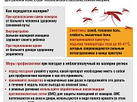 Внимание! Малярия!