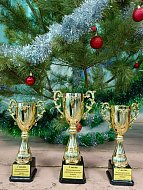 Состоялся ежегодный турнир по шашкам