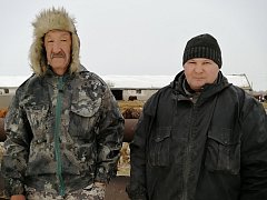 Будни животноводов