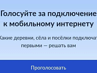  Началось голосование за населенные пункты