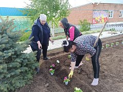 Жители села Беленка сохраняют  чистоту  на территории у Сквера Победы