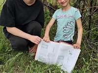Библиотекарь в с. Толстовка организовала экскурсию на природу по страницам Красной книги