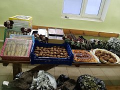 Предновогодняя суета у всех разная 