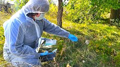 Краснопартизанские ветеринарные специалисты провели раскладку вакцины против бешенства 