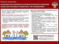 ️Внимание! Информация может быть полезной!