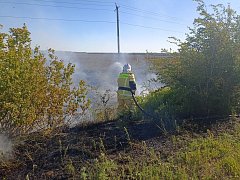 В регионе введён особый противопожарный режим