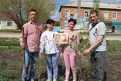 Вместе мы высадим 27 миллионов деревьев